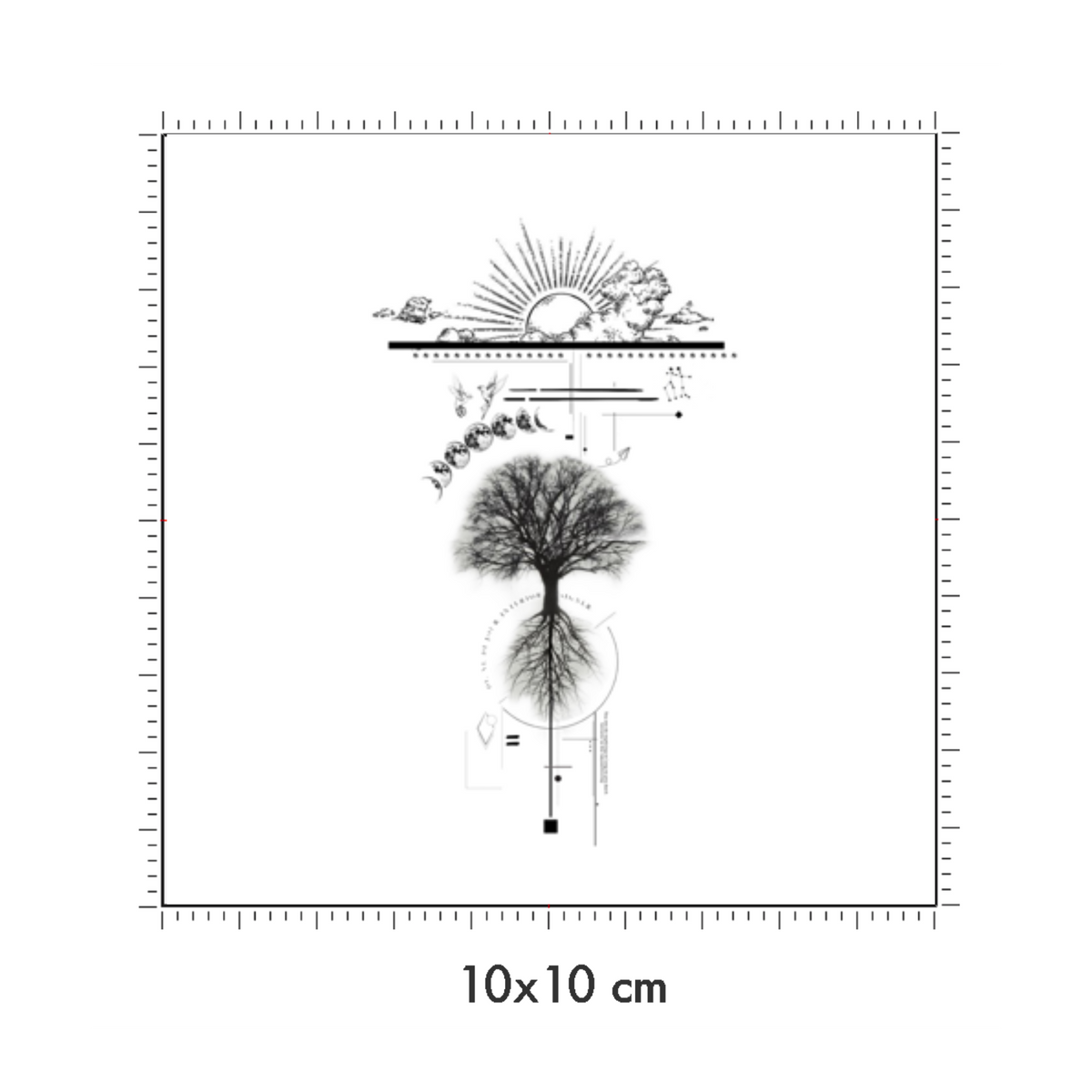 10 x 10 cm