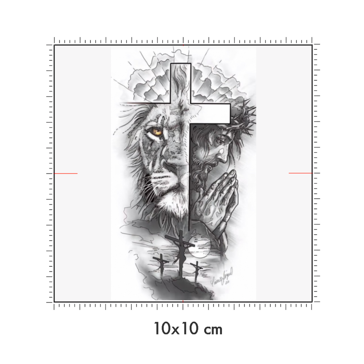 10 x 10 cm