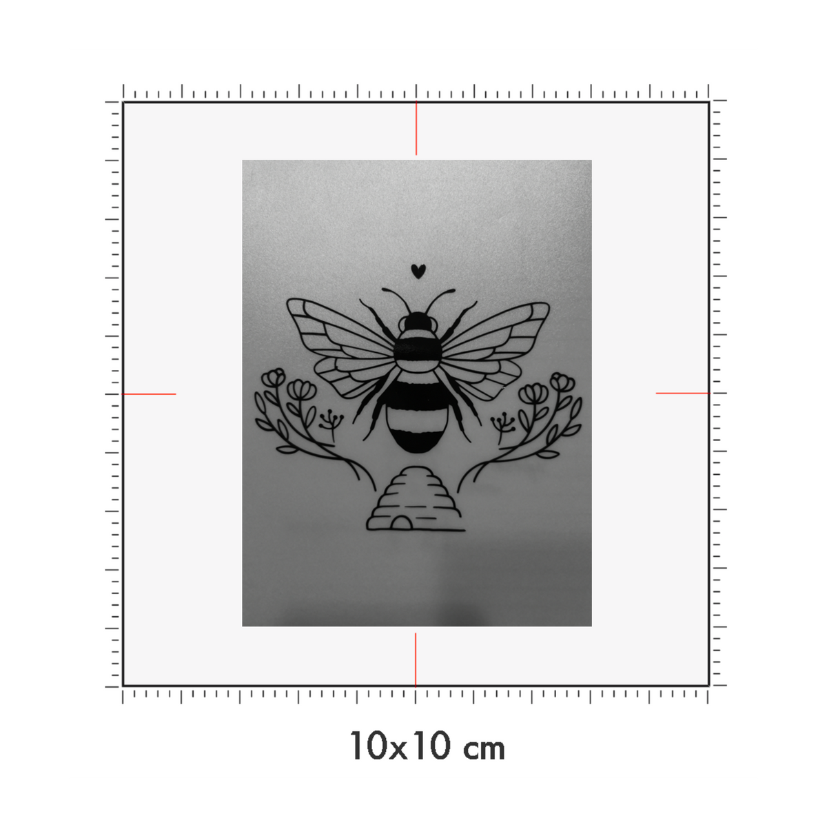 10 x 10 cm