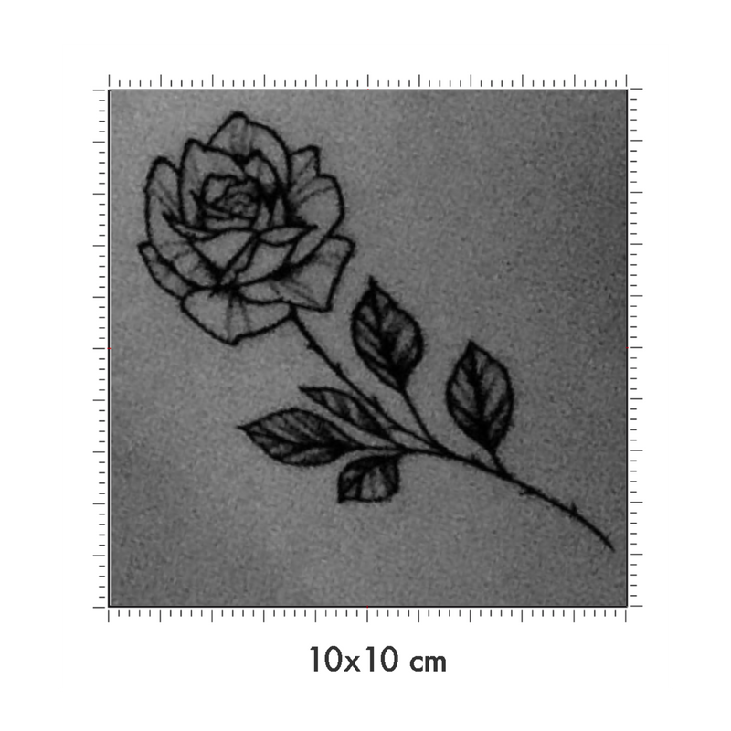 10 x 10 cm