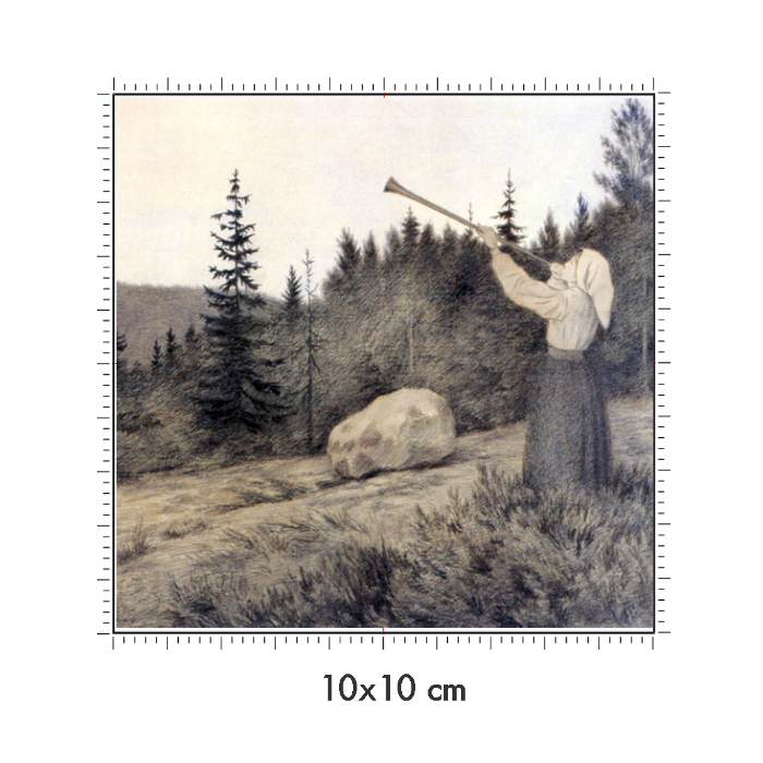 10 x 10 cm