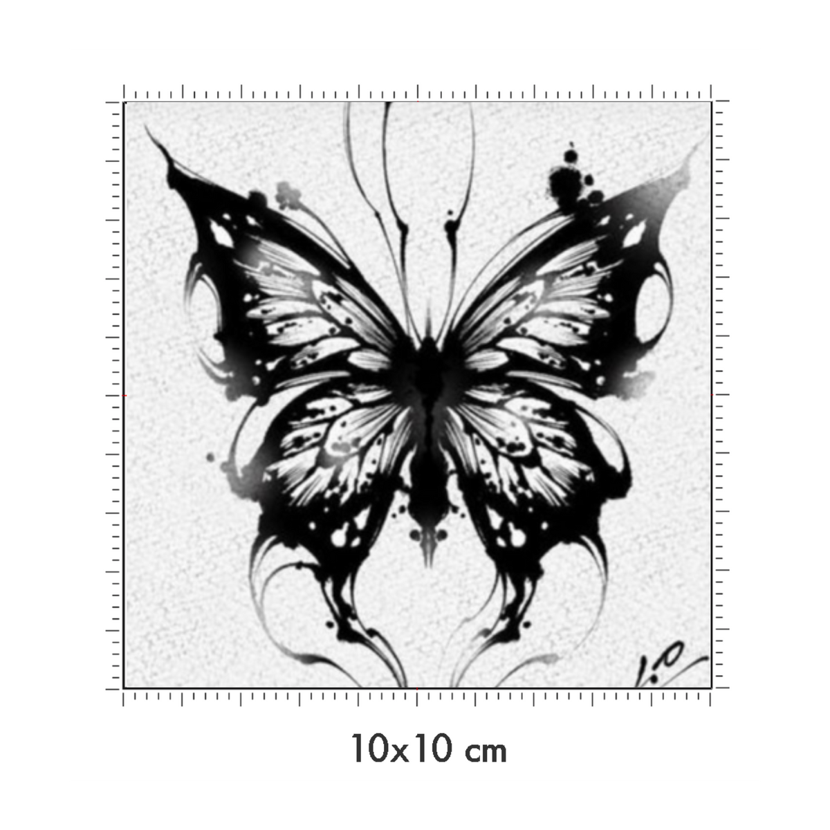 10 x 10 cm