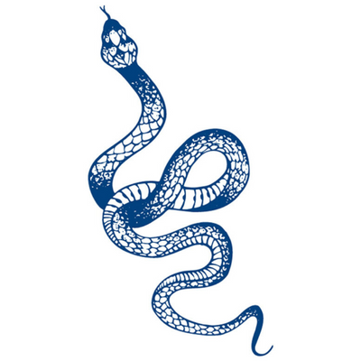 Semi Permanent Tattoo Blue Snake