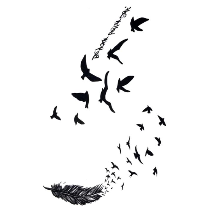 Fly