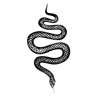 Liquid Snake