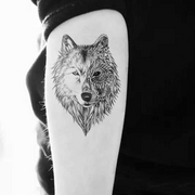 Double Sided Wolf