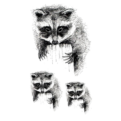 Raccoon