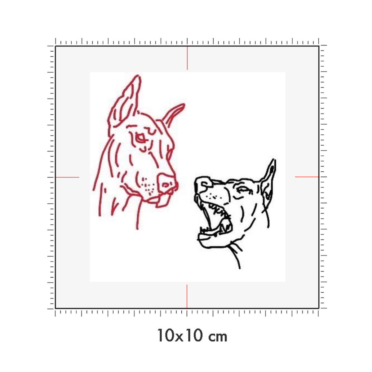 10 x 10 cm