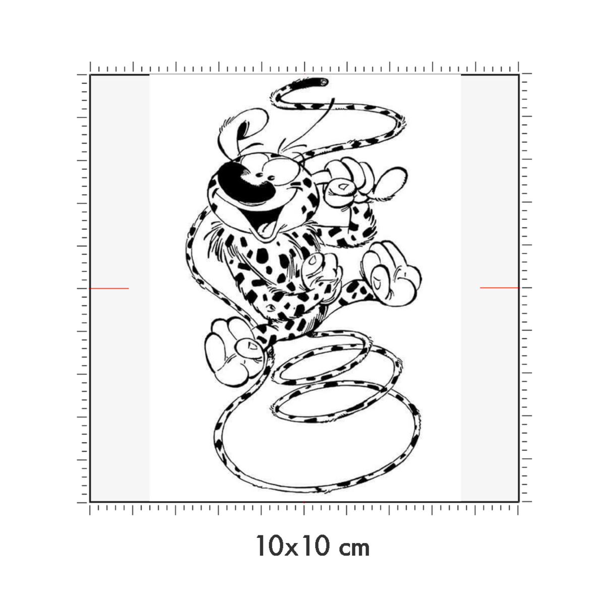 10 x 10 cm