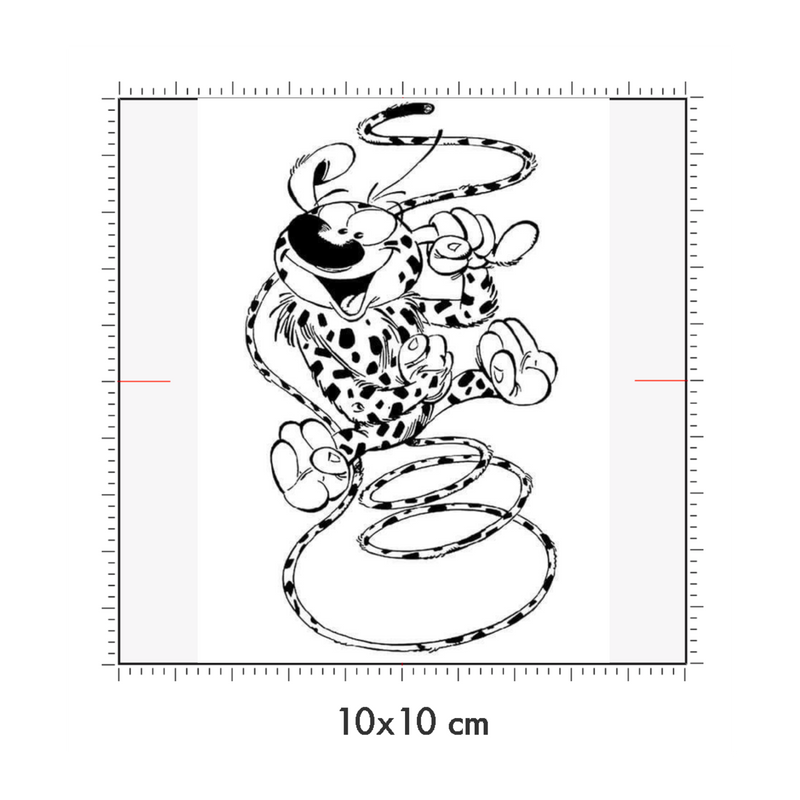 10 x 10 cm