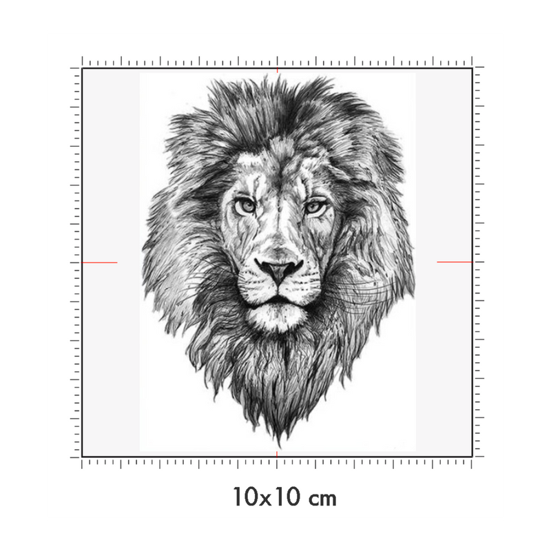 10 x 10 cm