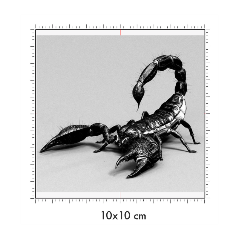 10 x 10 cm