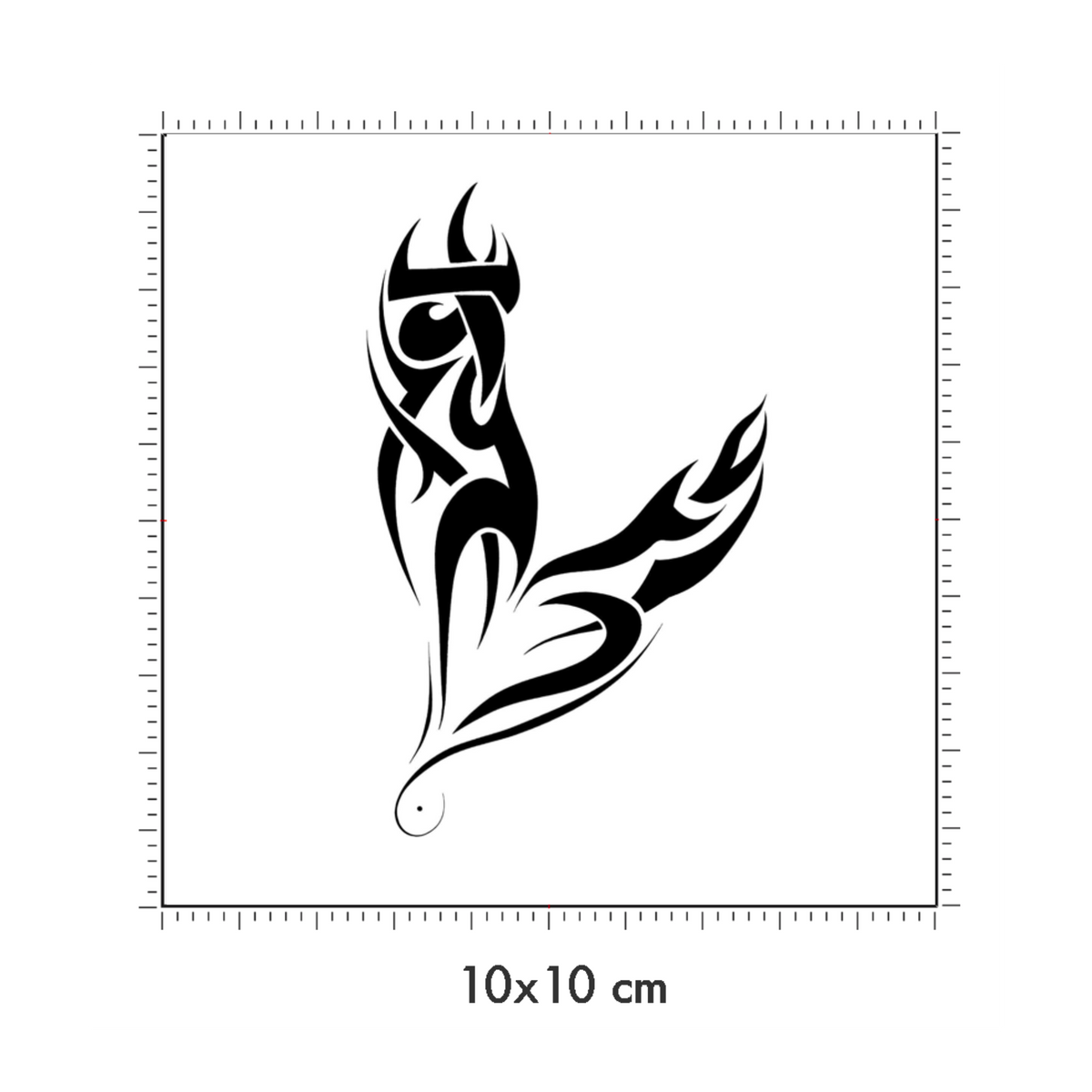 10 x 10 cm