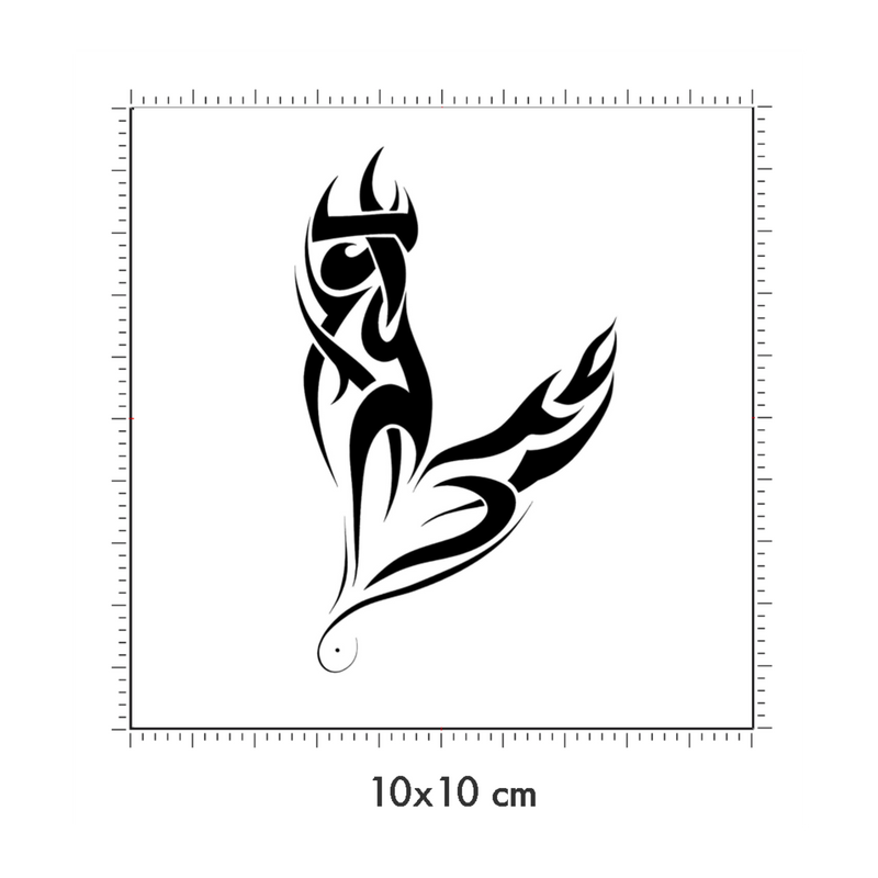 10 x 10 cm