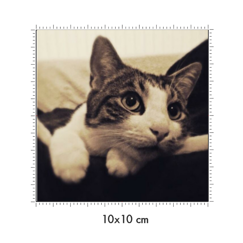10 x 10 cm