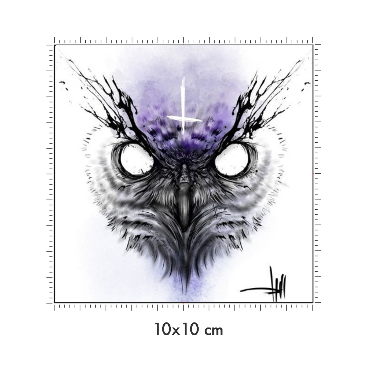 10 x 10 cm