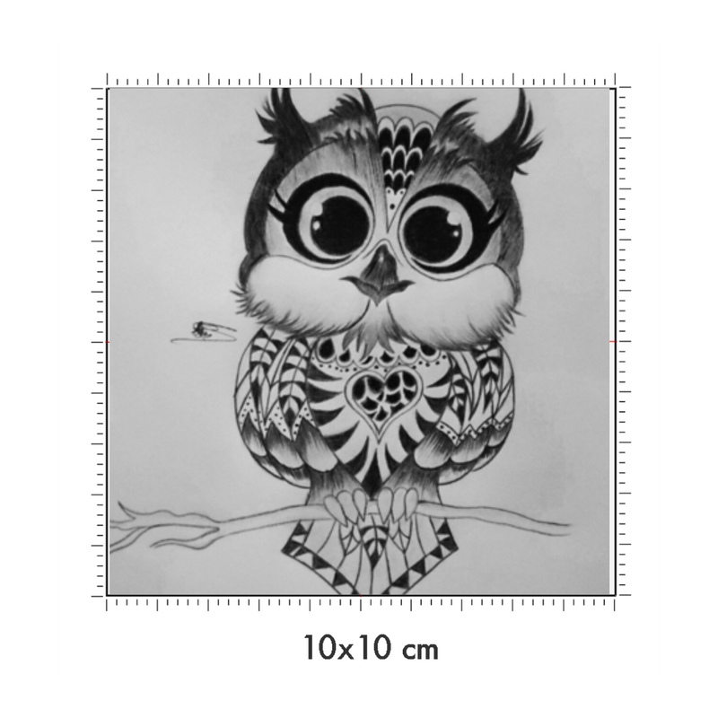 10 x 10 cm