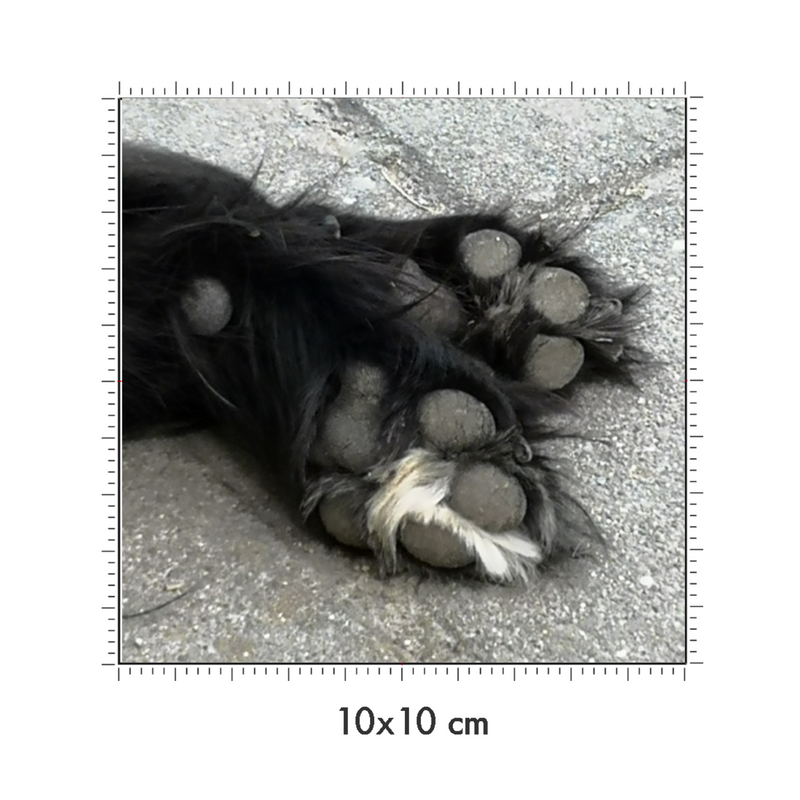 10 x 10 cm