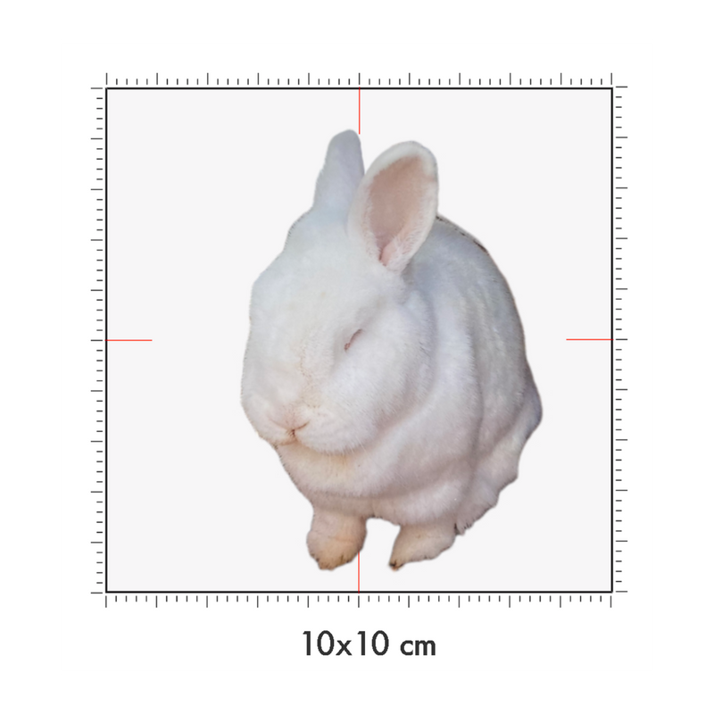 10 x 10 cm