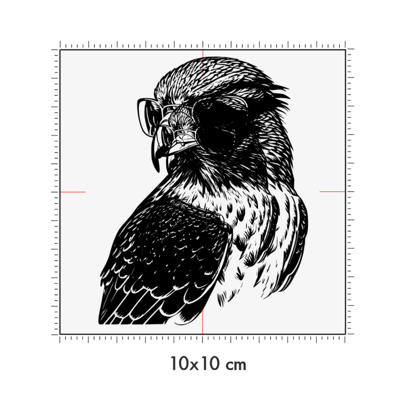 10 x 10 cm