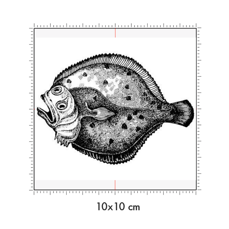 10 x 10 cm