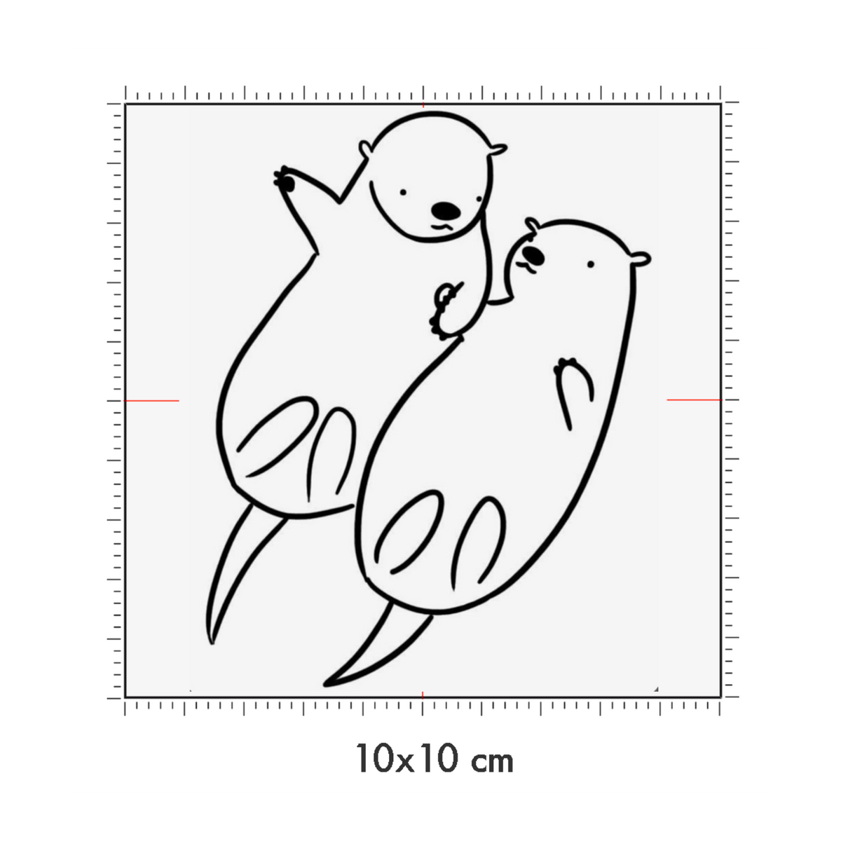 10 x 10 cm