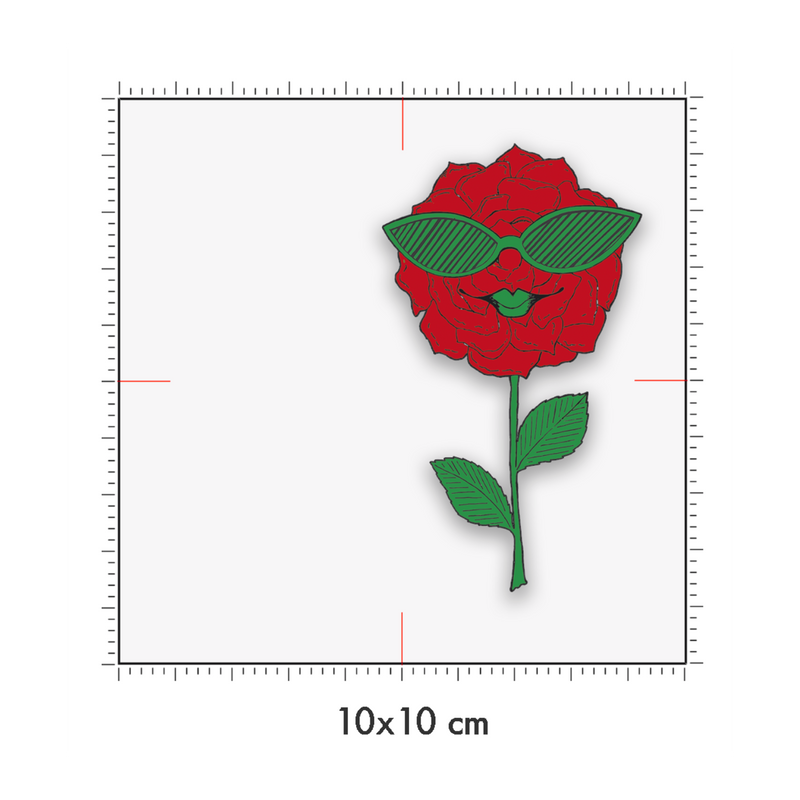 10 x 10 cm