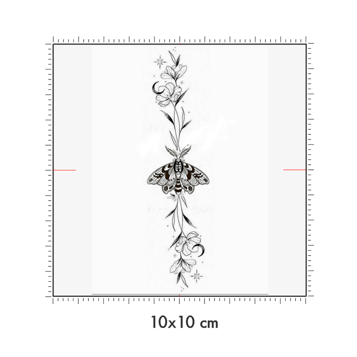 10 x 10 cm
