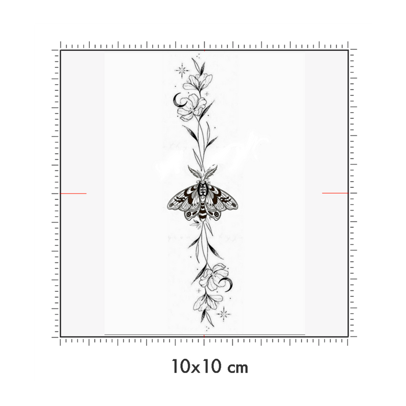 10 x 10 cm