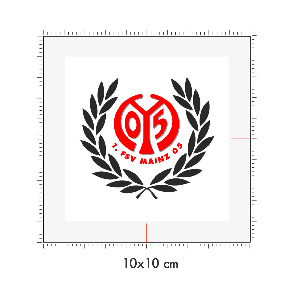 10 x 10 cm