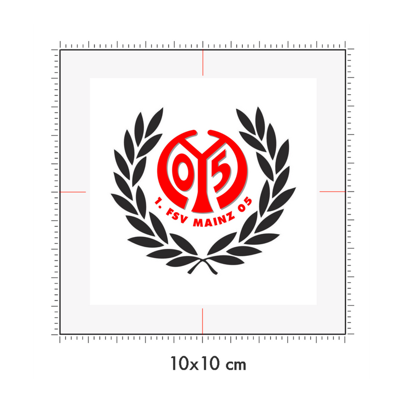 10 x 10 cm