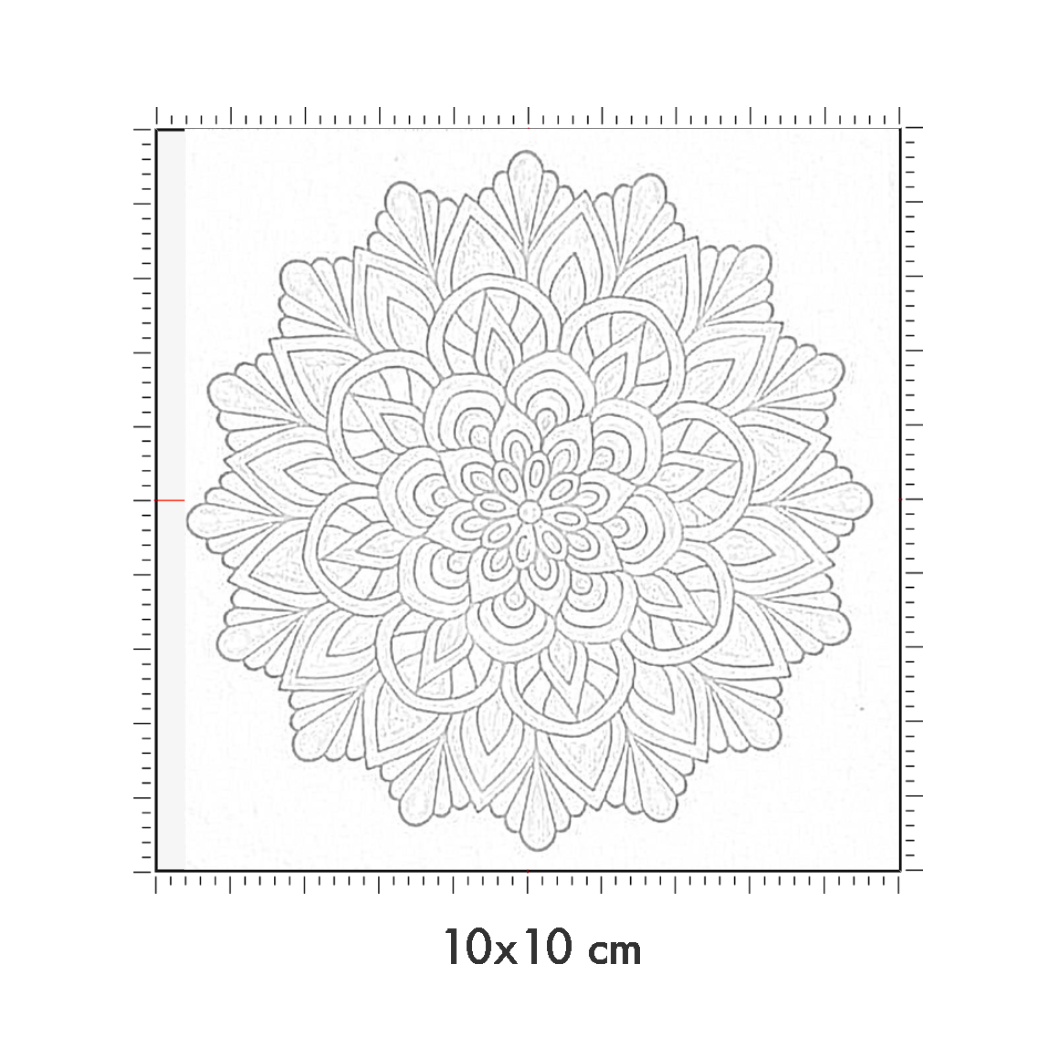 10 x 10 cm