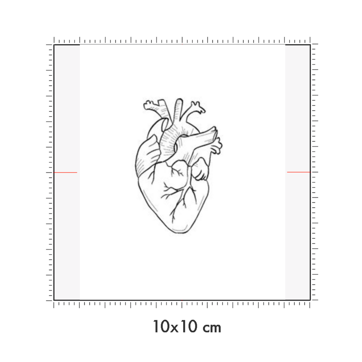 10 x 10 cm