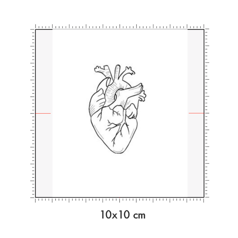 10 x 10 cm