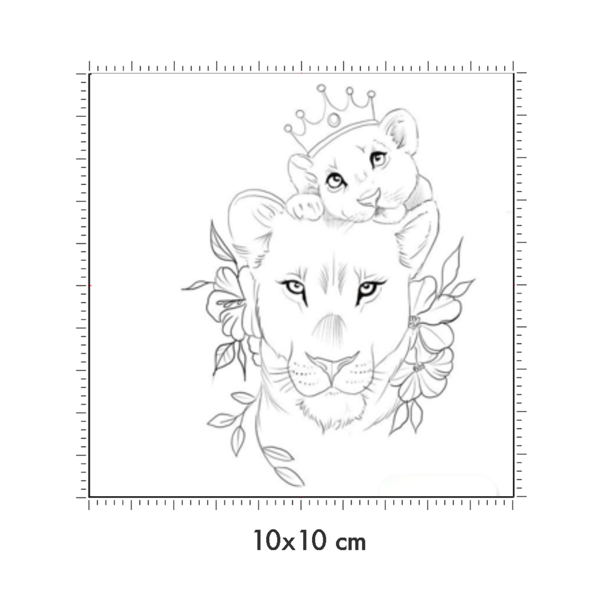 10 x 10 cm