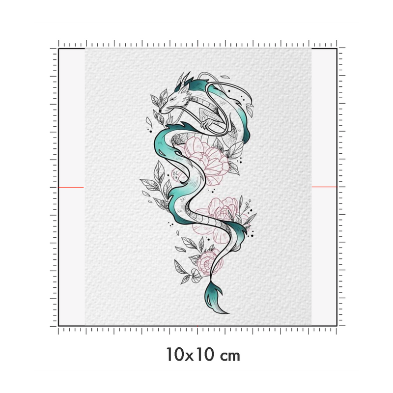 10 x 10 cm
