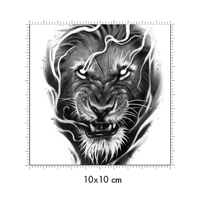 10 x 10 cm