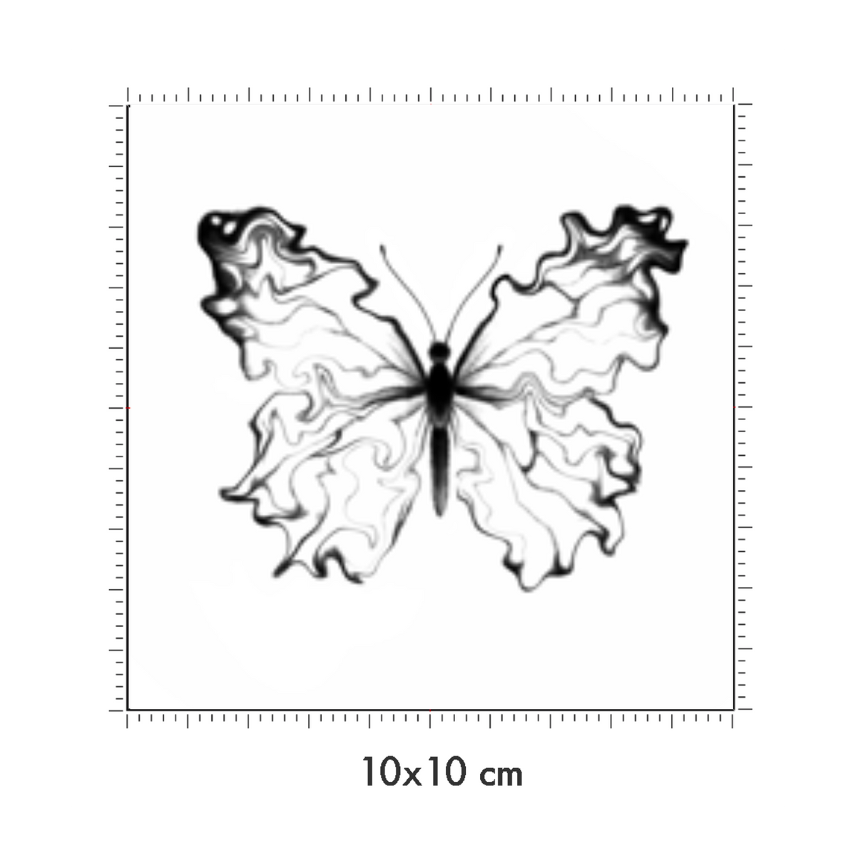 10 x 10 cm