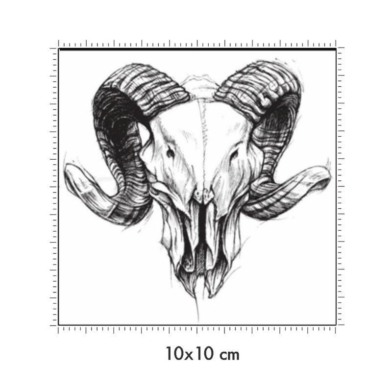 10 x 10 cm
