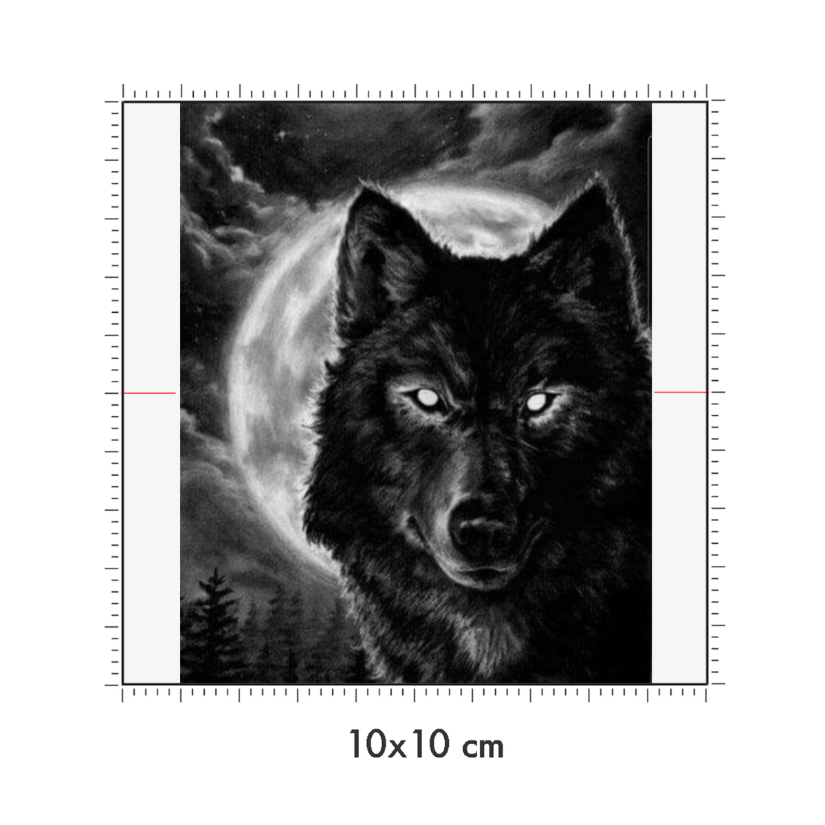 10 x 10 cm