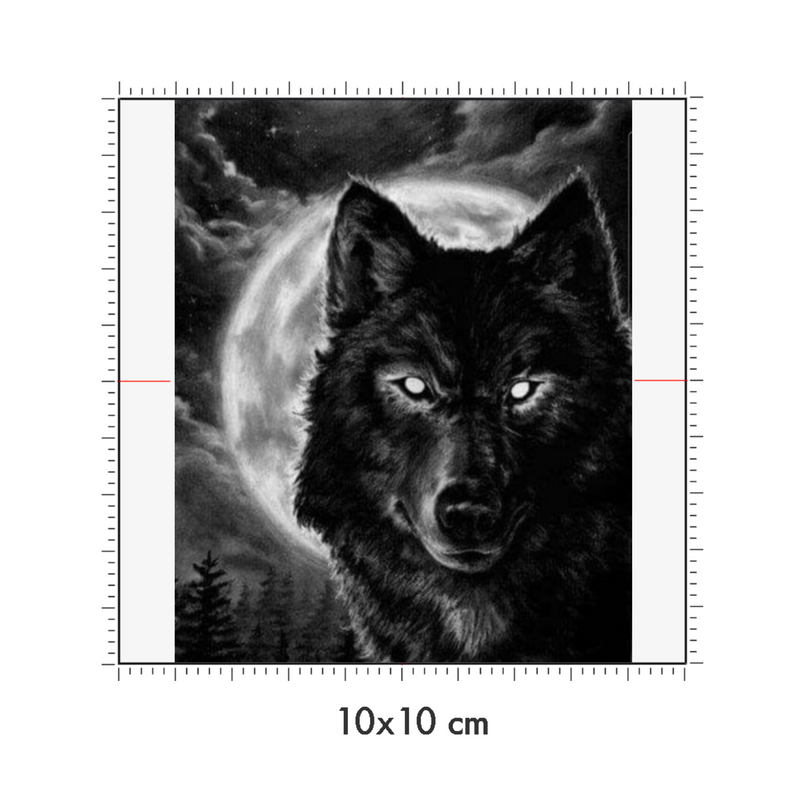 10 x 10 cm