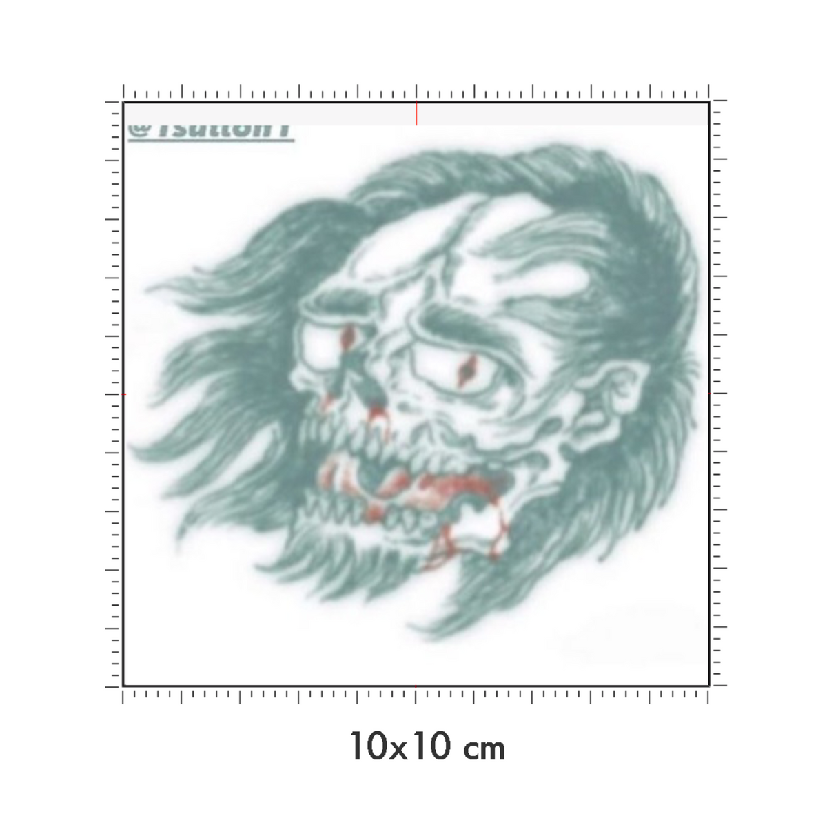 10 x 10 cm