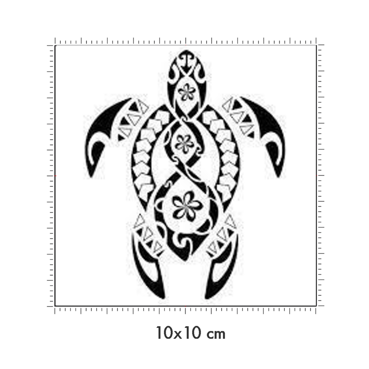 10 x 10 cm