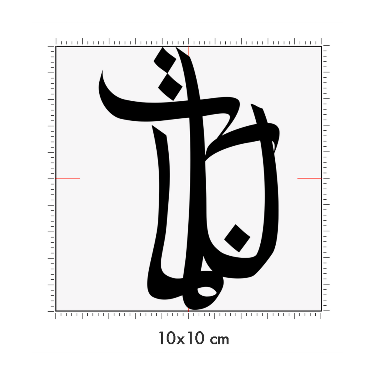 10 x 10 cm