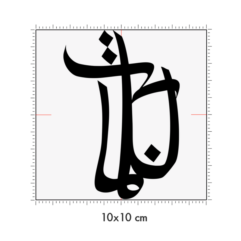 10 x 10 cm