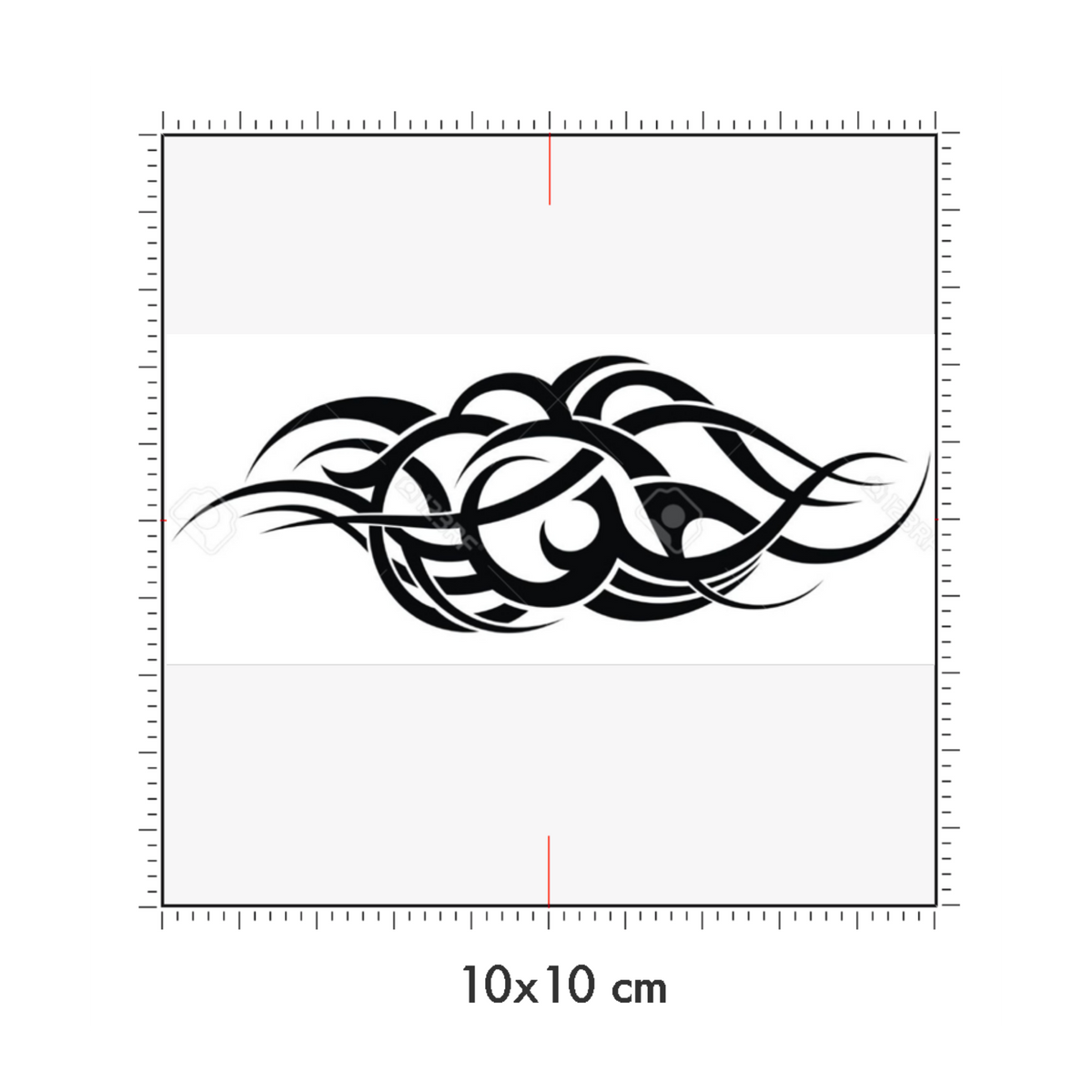10 x 10 cm