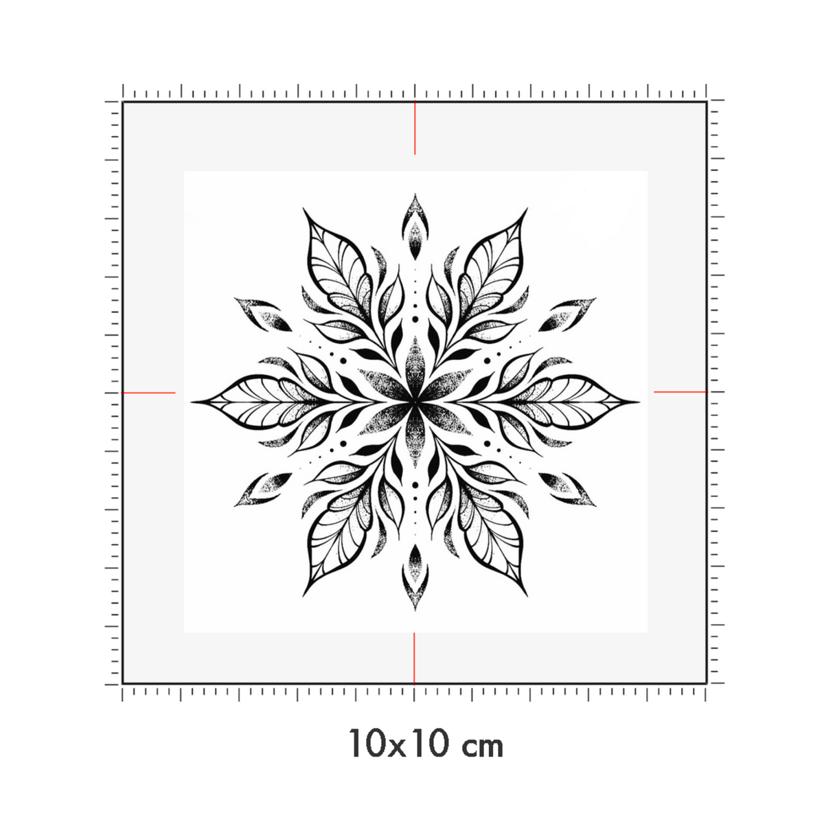 10 x 10 cm