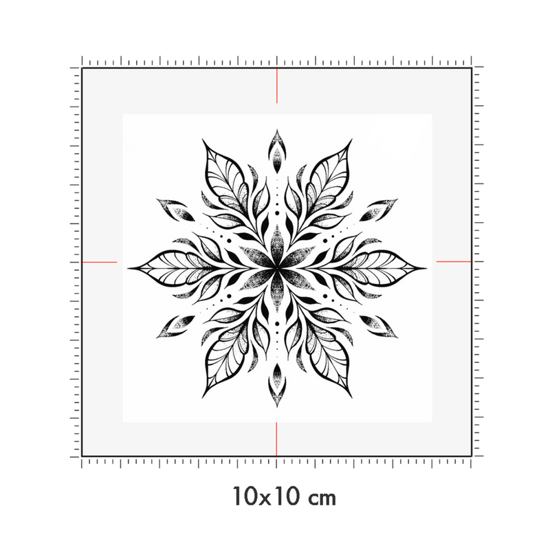 10 x 10 cm