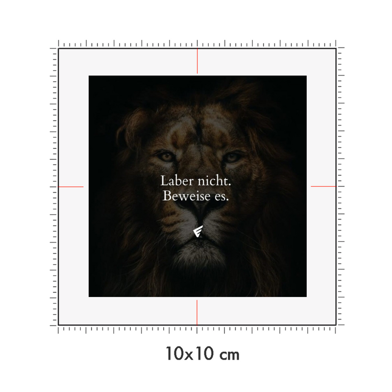 10 x 10 cm