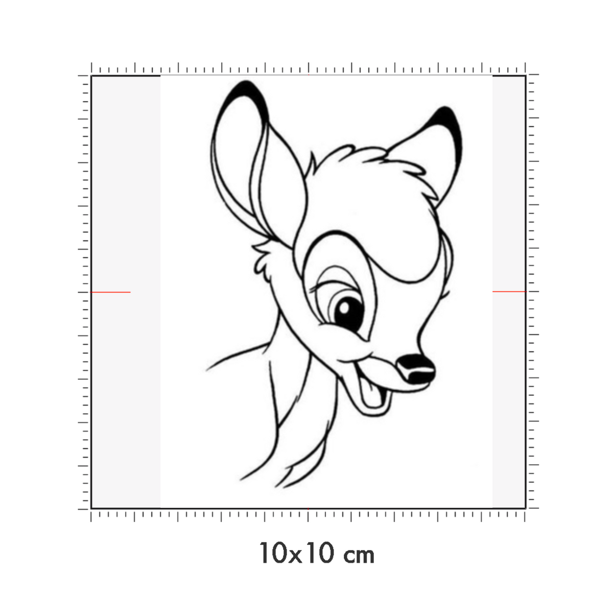 10 x 10 cm